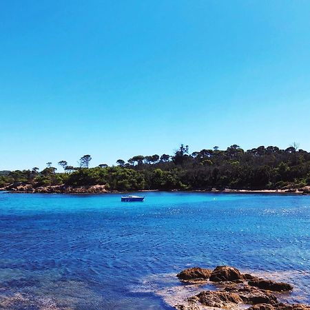 T2 Avec Terrasse & Parking A 5 Min Du Centre, 10 Min Des Plages Hyeres Bagian luar foto