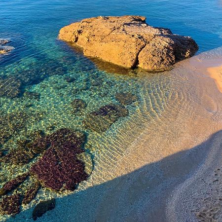 T2 Avec Terrasse & Parking A 5 Min Du Centre, 10 Min Des Plages Hyeres Bagian luar foto
