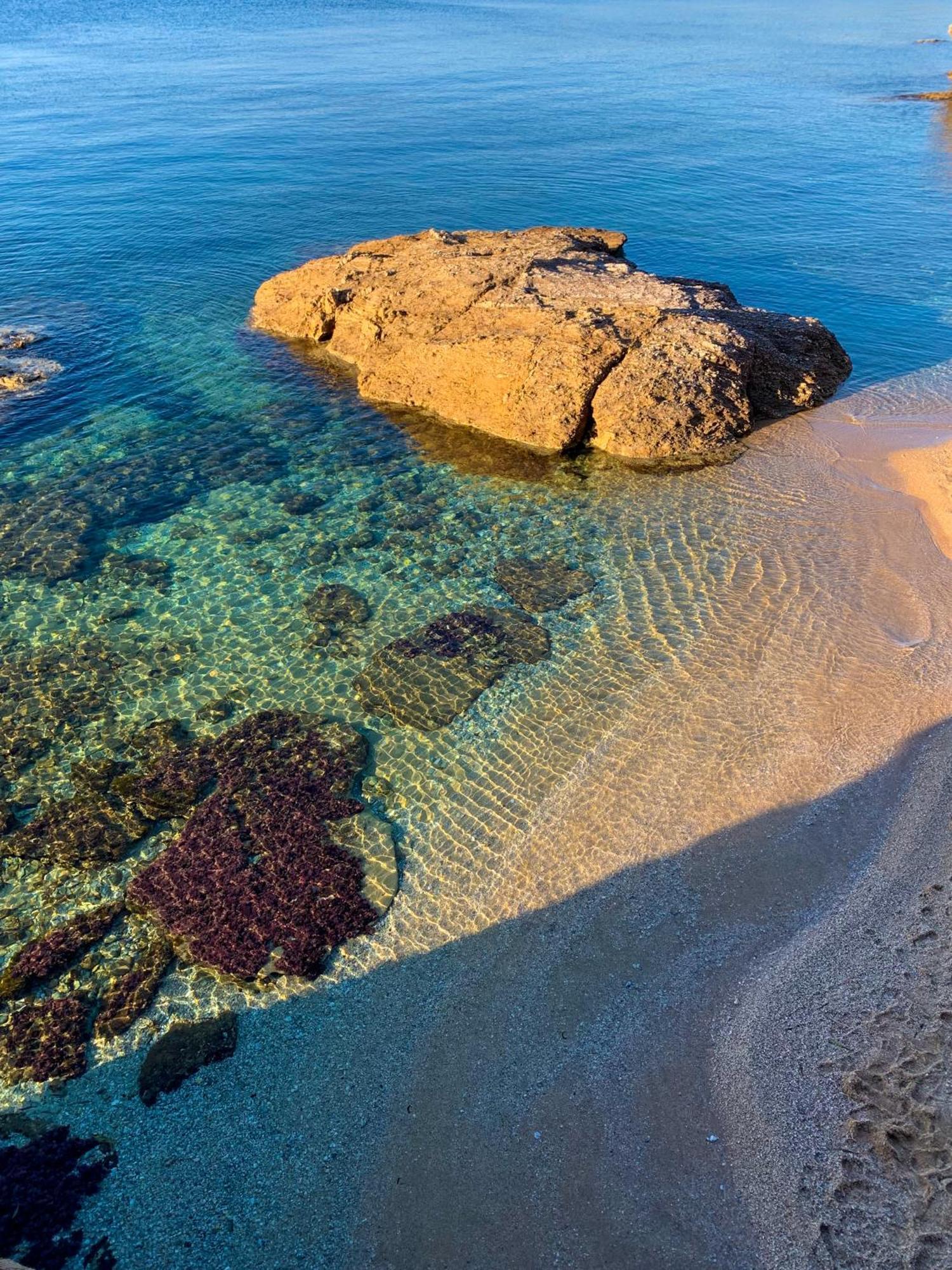 T2 Avec Terrasse & Parking A 5 Min Du Centre, 10 Min Des Plages Hyeres Bagian luar foto